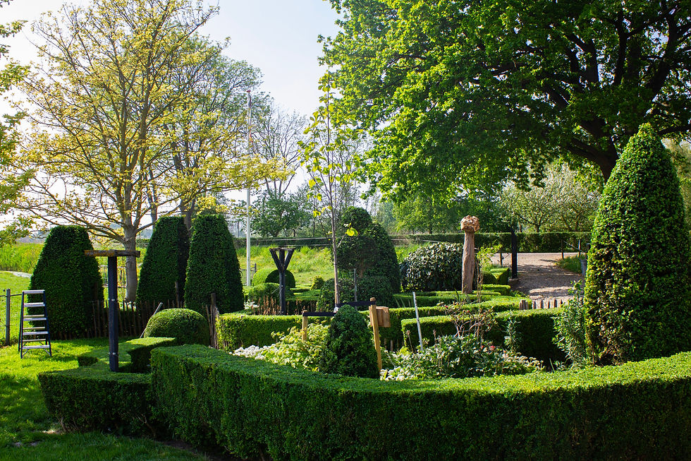 Tuin H.N. hovenier