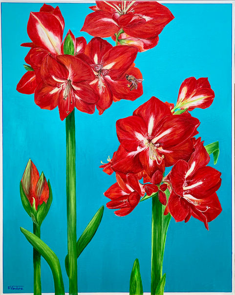 Pop Amaryllis.jpeg
