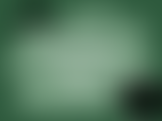 The Global Greenwashing Report #8