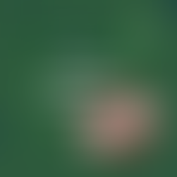 The Global Greenwashing Report #3