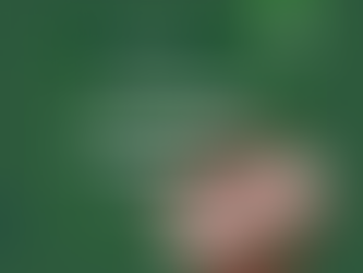 The Global Greenwashing Report #3