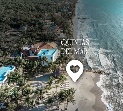 pagina web pao y milo_Mesa de trabajo 1 copia 6.png