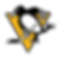 The logo of the Pittsburgh Penguins