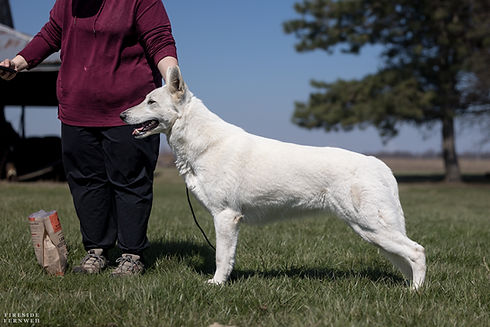 20260319-_0223972.jpg
