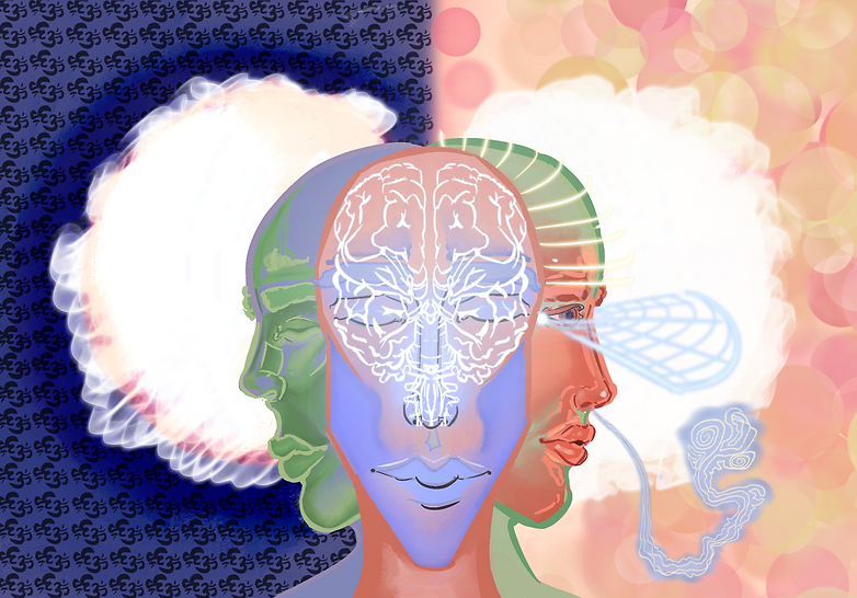 IMG_0524.PNG