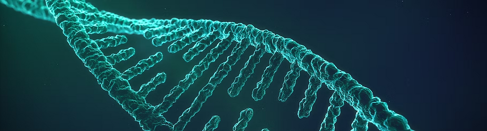 Screenshot 2025-11-27 at 10.11.11.png