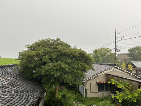 『夕立とゲリラ豪雨』
