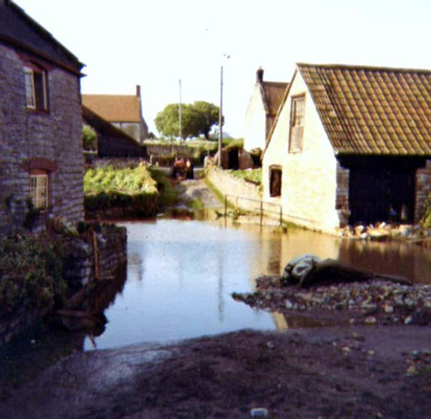 FLOOD3.jpg