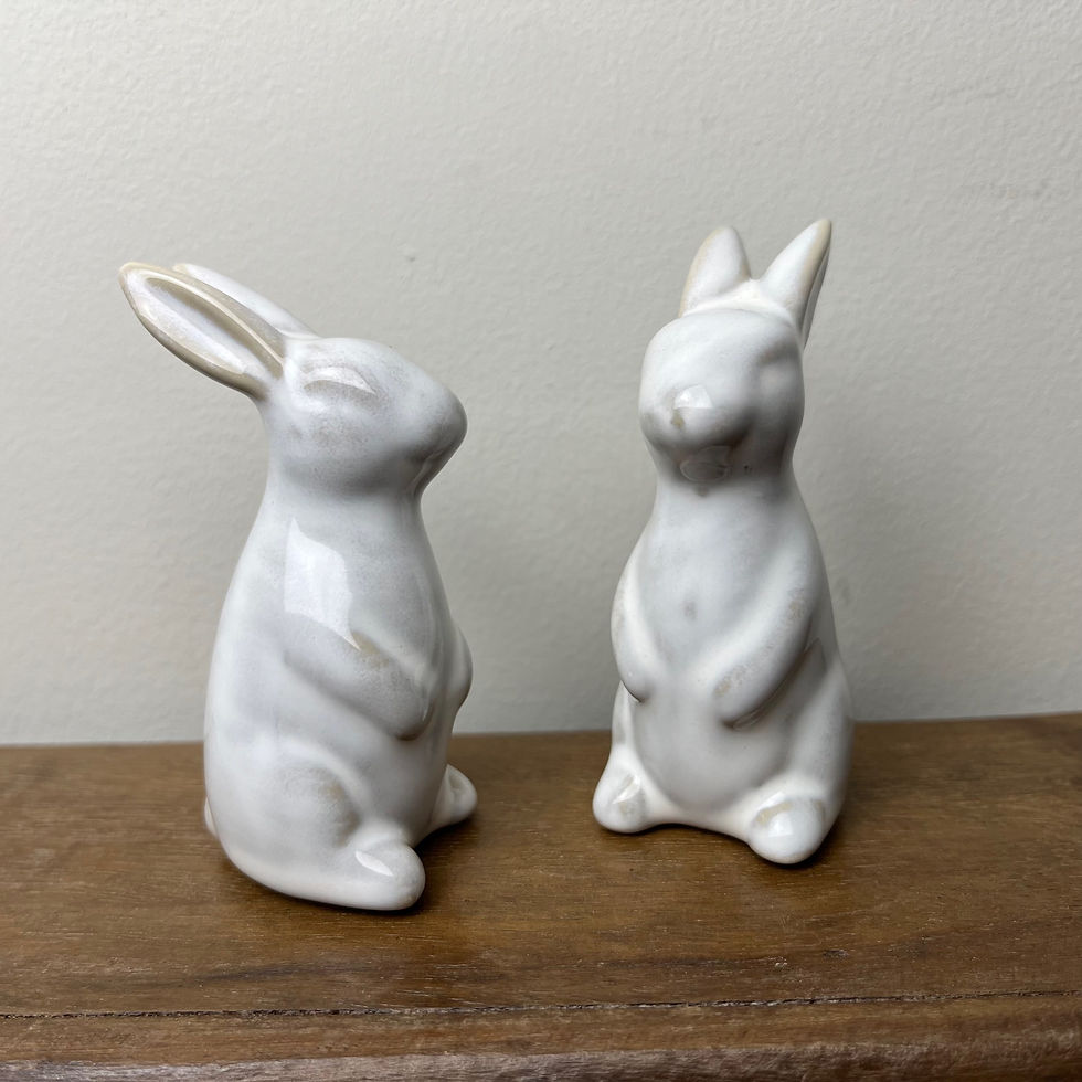 Thumbnail: Miniature Bunny Rabbit