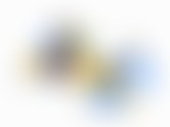 Tratamiento de datos personales en las elecciones territoriales de 2023