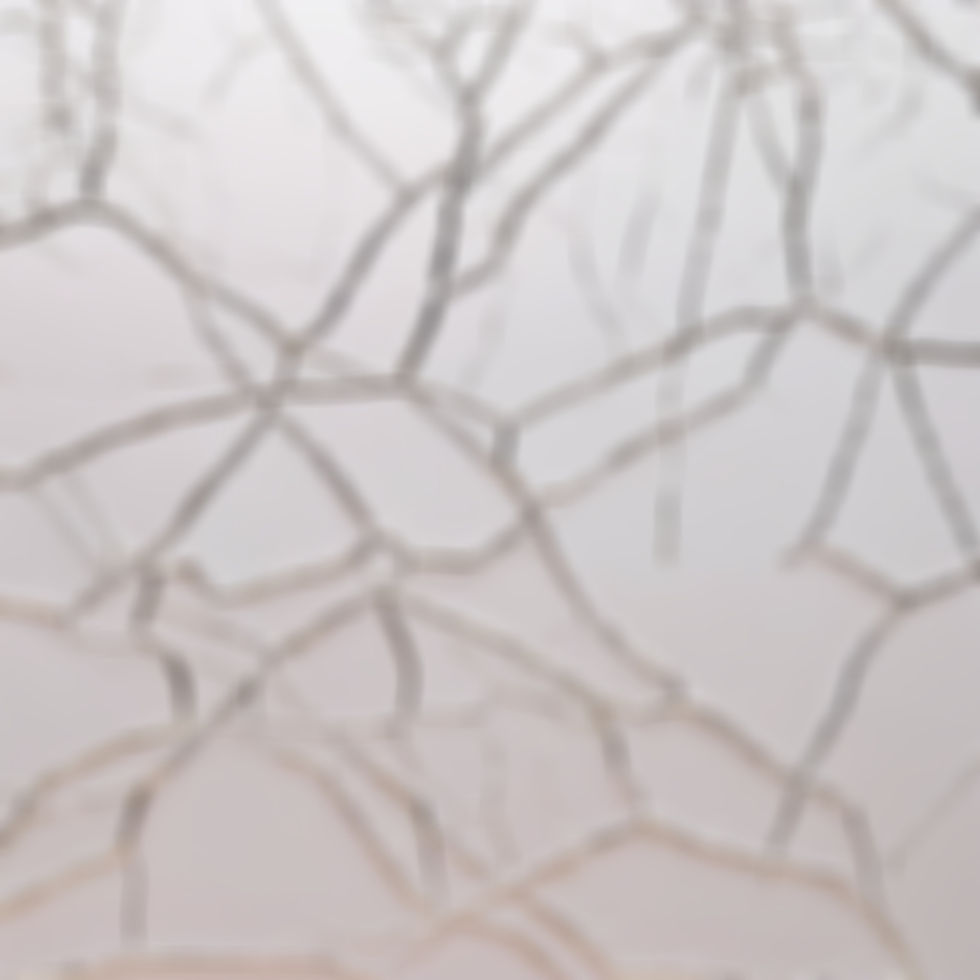 metalic white crack_edited.jpg