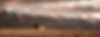 shutterstock_1167347614_edited.jpg