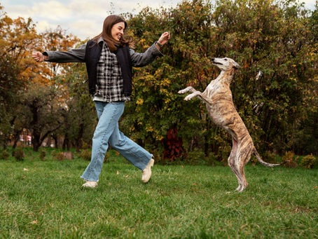 How to Keep Your Dog Motivated to Exercise