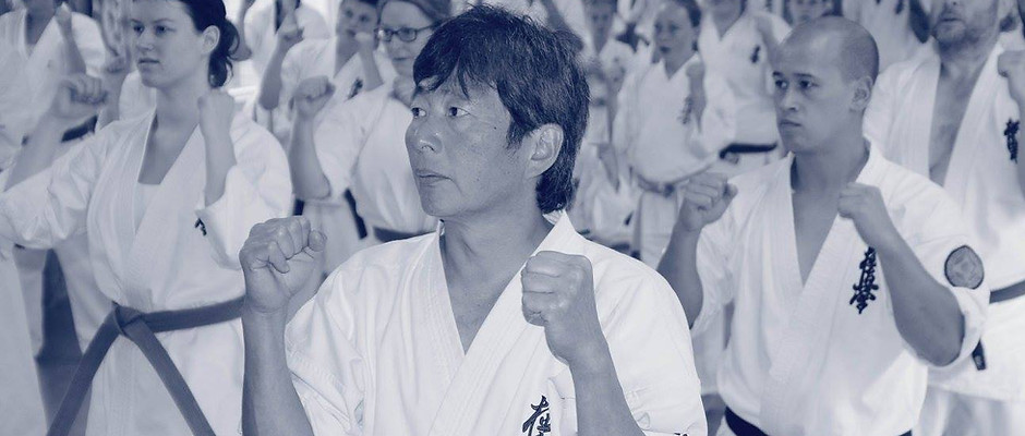 Kyokushin karate full contact camp.jpg