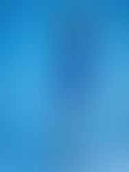 Amelie Carner, Trend Setter