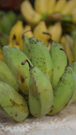 P1060086