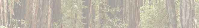 Armstrong_Redwoods_State_Natural_Reserve_banner_Redwood_trees_edited.jpg