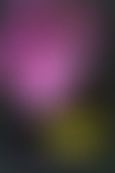 Review: “The Dark Half”