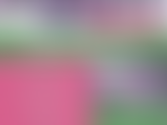 Great news for the youth clubs!