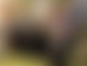 A quacking day out in Lymm!