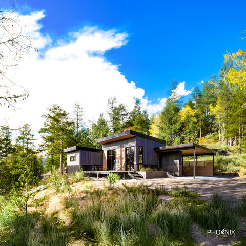 Phoenix Haus H5 | 15 - 3D Renderings Colorado - Connifer