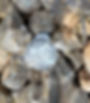 20180308_114945_edited.jpg