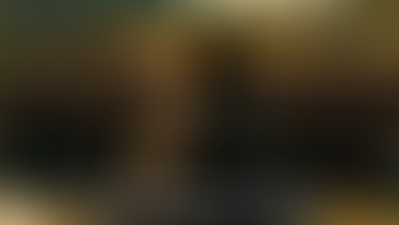 Chapter 24 Resources