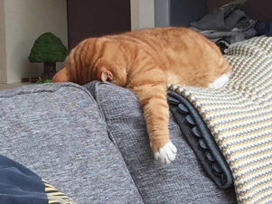 Are we the generation of exhaustion and boredom?