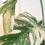 Thumbnail: Monstera Albo Variegata