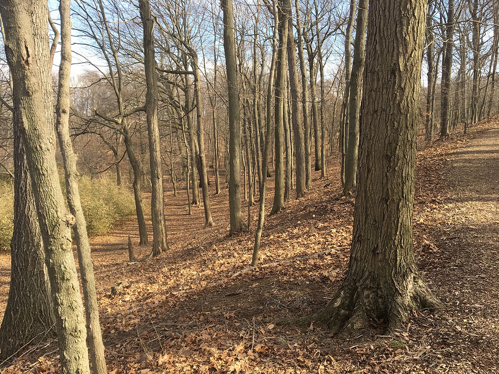 My Top 5 for Outdoor Exercise in Eastern MA