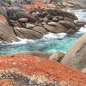 A Tasmanian food & wine journey