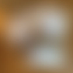 Visit the Spice Market!