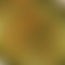 Back to school: Indian cookery masterclasses