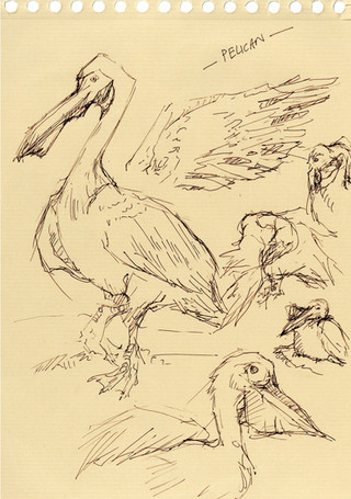 ZOO_100.jpg