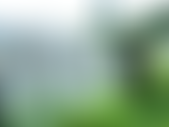 Qual fruta você está vestindo?