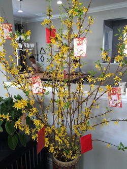 12745557_1698675330348205_74497436712584