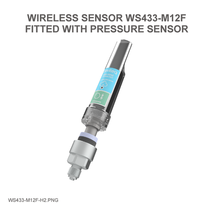Wireless Process Pressure Sensor - WS433-M12F-PPS