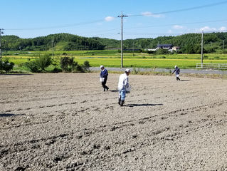 秋蕎麦の種まきを行いました。