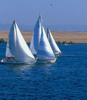 sailboats