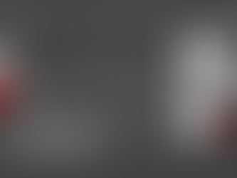 Capital Campaign Quarterly Update -August 2024