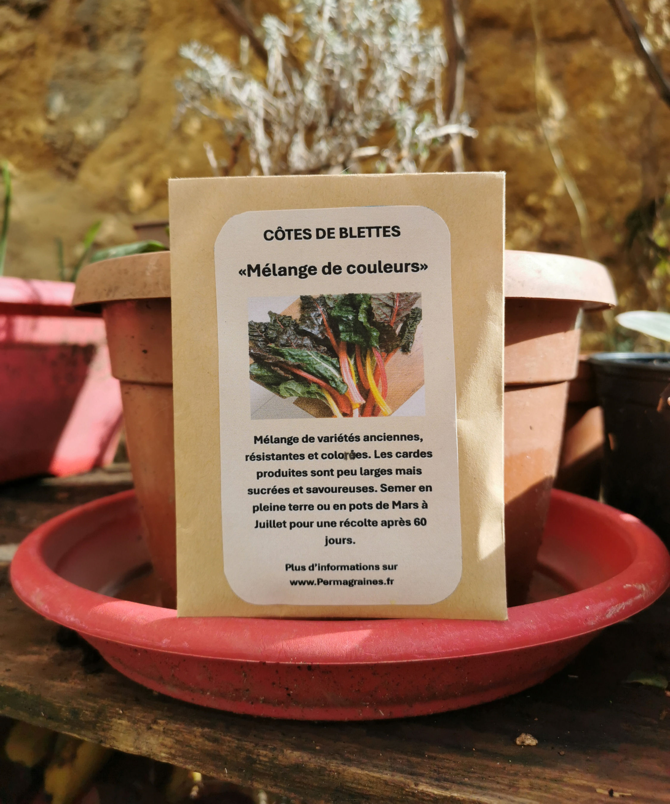 Côtes de Blettes "Mélange de couleurs"