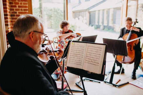 wedding, string quartet, Hampshire