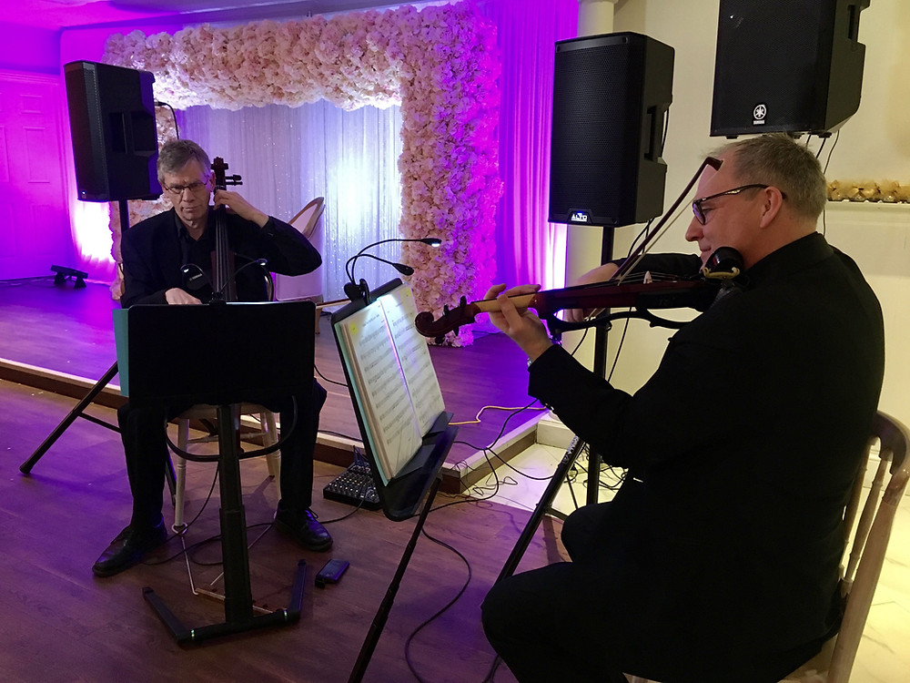 wedding, string quartet, Hampshire