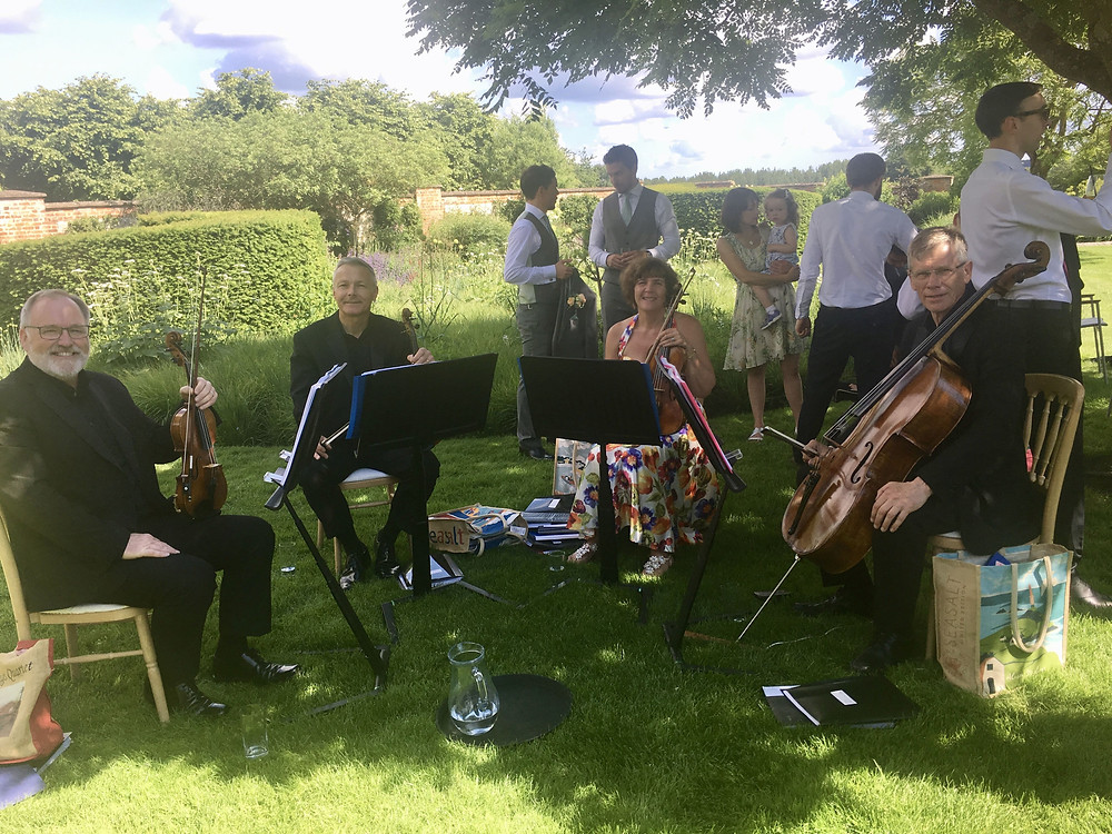 wedding, string quartet, Hampshire