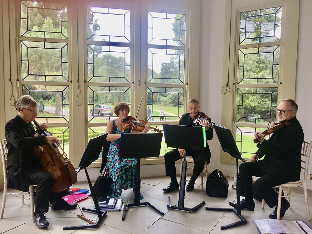 wedding, string quartet, Hampshire