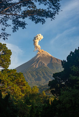 Zapote_Fuego frame day (1 von 1).jpg