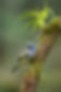Taller de fotografía de aves en Guatemala