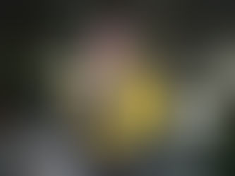 I Drew an Apple to Summon My Eve