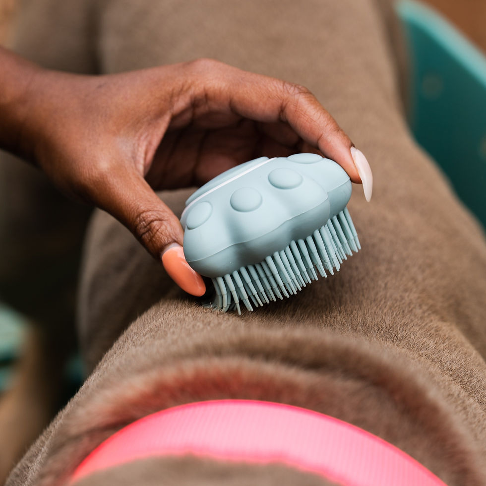 Thumbnail: Pet Spaw Shampoo Dispensing Bath Scrubber