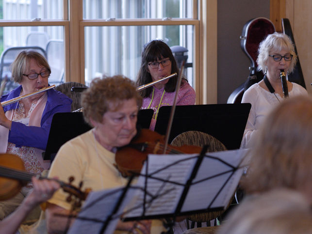 GT5H4421 orchestra.jpg